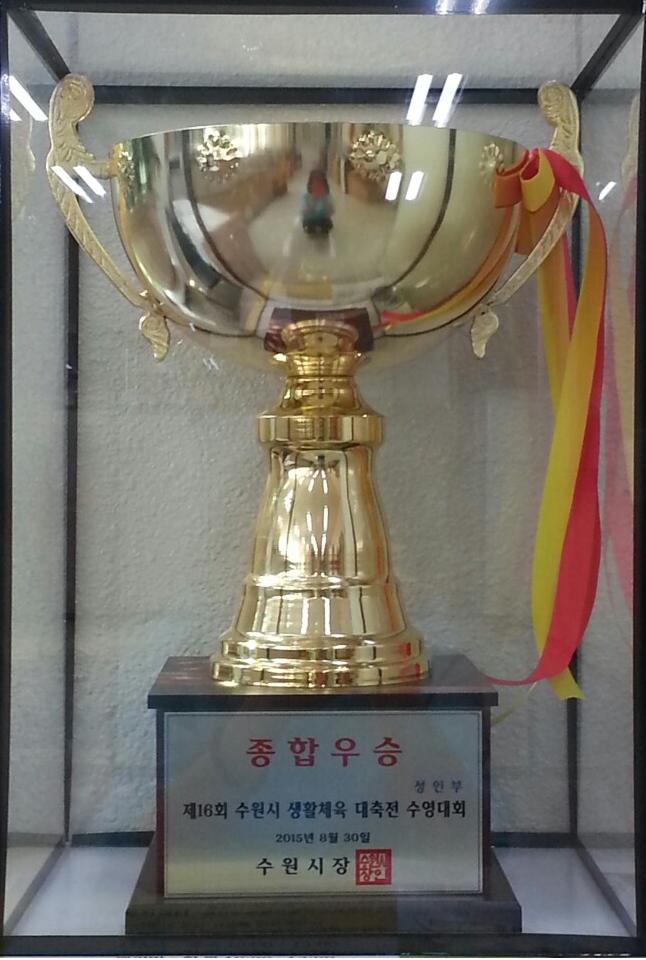 16회수원시생활체육대축전.JPG